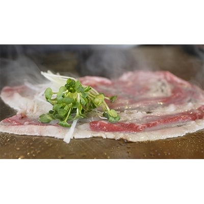 【鉄板dining磊　～こいし～】ふるさと納税特別コース＜1名様＞お食事券