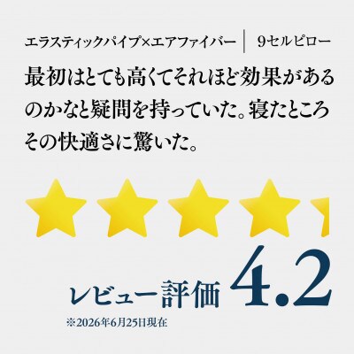 (エアウィーヴグループ) ロフテー 「9セルピロー エラスティックパイプ×エアファイバー」3号