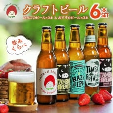 クラフトビール飲み比べ6本セット