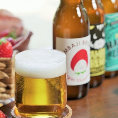 クラフトビール飲み比べ6本セット