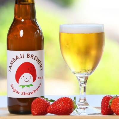 クラフトビール飲み比べ6本セット
