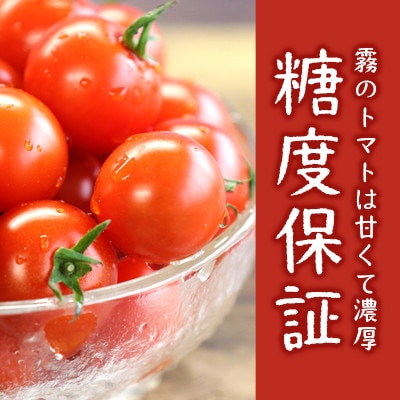 霧のトマト(糖度8保証) 200g×12パック