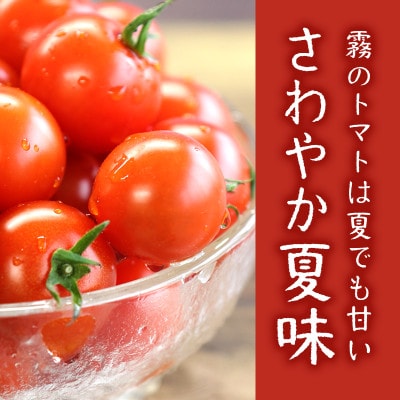 霧のトマトsummer 200g×4パック