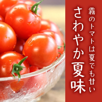 霧のトマトsummer 200g×12パック