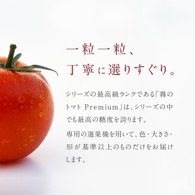 霧のトマトpremium
