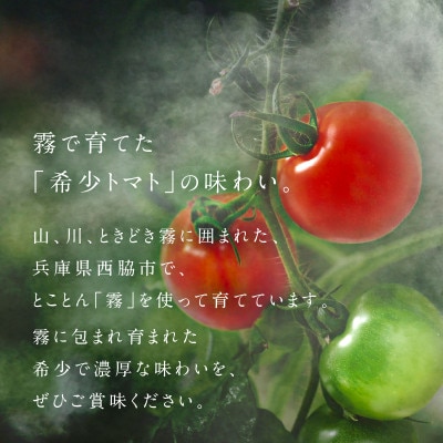 霧のトマトpremium