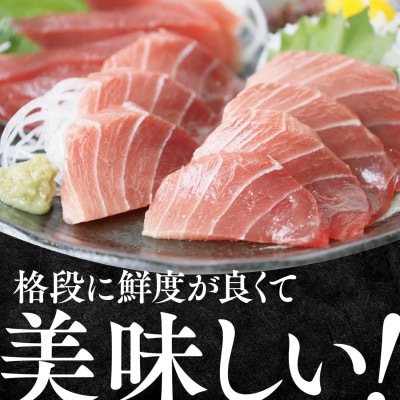 天然南マグロ(インドマグロ)中トロ 赤身 お刺身 小分け 約300g (150g×2P)09-21