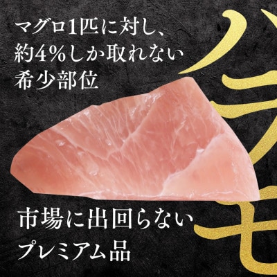天然メバチマグロ 希少部位 ハラモ 切り落とし(腹身) 約500g (500g×1P)08-36