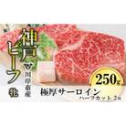 【神戸牛 牝】極厚サーロインステーキ ハーフカット:2枚 約250g