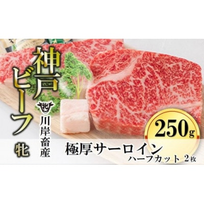 【神戸牛 牝】極厚サーロインステーキ ハーフカット:2枚 約250g
