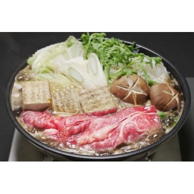 冷蔵配送!【神戸牛 牝】特上「おまかせ」すき焼きしゃぶしゃぶセット　500g×1