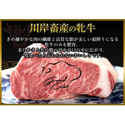 【神戸牛 牝】極みステーキ小間　400g