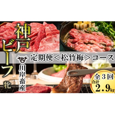 【毎月定期便】【神戸牛 牝】いろんな神戸ビーフを味わう《松竹梅》定期便コース　合計2,9kg全3回
