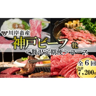 【毎月定期便】【神戸牛 牝】6回に分けてお届け!神戸ビーフ《贅沢》定期便コース　合計7,2kg全6回