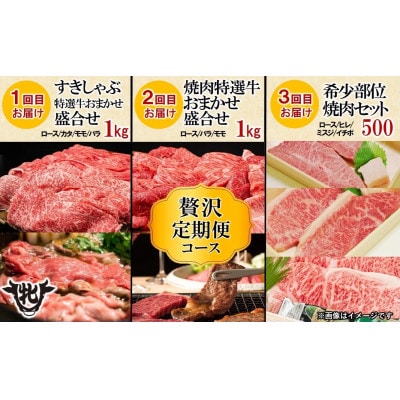 【毎月定期便】【神戸牛 牝】6回に分けてお届け!神戸ビーフ《贅沢》定期便コース　合計7,2kg全6回