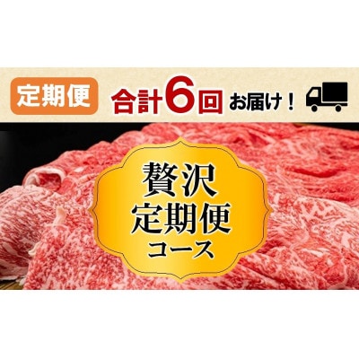 【毎月定期便】【神戸牛 牝】6回に分けてお届け!神戸ビーフ《贅沢》定期便コース　合計7,2kg全6回