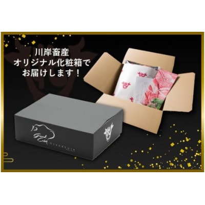 【毎月定期便】【神戸牛 牝】6回に分けてお届け!神戸ビーフ《贅沢》定期便コース　合計7,2kg全6回