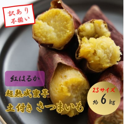 【訳あり】超熟成蜜芋 土付きふそろいさつまいも「こいもあまいも」2Sサイズ 約6kg(紅はるか)