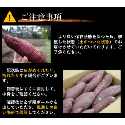 【訳あり】超熟成蜜芋 土付きふそろいさつまいも「こいもあまいも」2Sサイズ 約6kg(紅はるか)