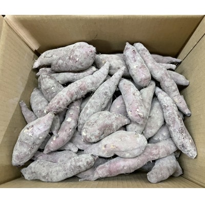 【訳あり】超熟成蜜芋 土付きふそろいさつまいも「こいもあまいも」2Sサイズ約6kg(シルクスイート)