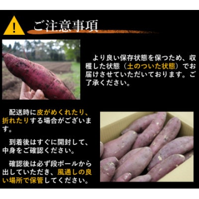 【訳あり】超熟成蜜芋 土付きふそろいさつまいも「こいもあまいも」3Sサイズ 合計約8kg(紅はるか)