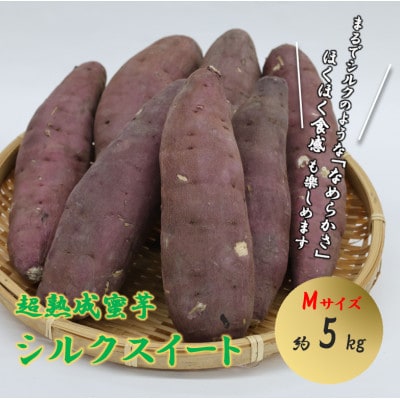 超熟成蜜芋「こいもあまいも」 Mサイズ 合計約5kg(シルクスイート)