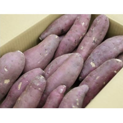 超熟成蜜芋「こいもあまいも」 Mサイズ 合計約5kg(シルクスイート)