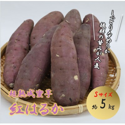 超熟成蜜芋「こいもあまいも」 Sサイズ 合計約5kg(紅はるか)