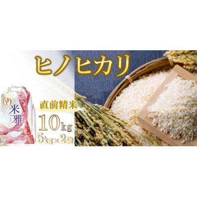 兵庫県産・令和7年産【ヒノヒカリ】白米　10kg(5kg×2)