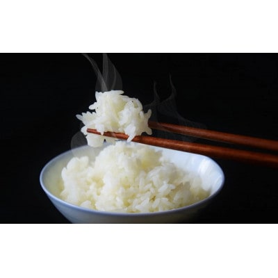 兵庫県産・令和7年産【ヒノヒカリ】白米　10kg(5kg×2)