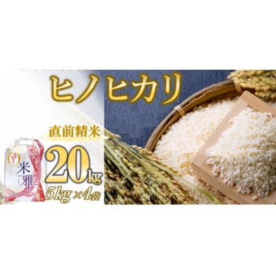 兵庫県産・令和7年産【ヒノヒカリ】白米　20kg(5kg×4)