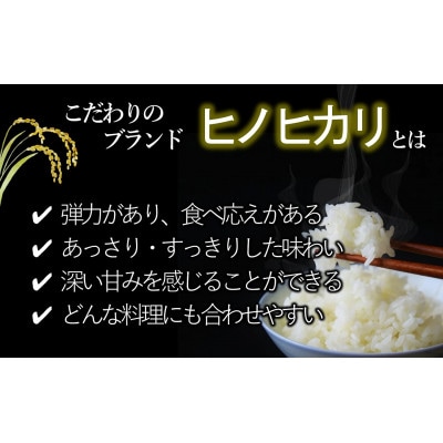 兵庫県産・令和7年産【ヒノヒカリ】白米　20kg(5kg×4)