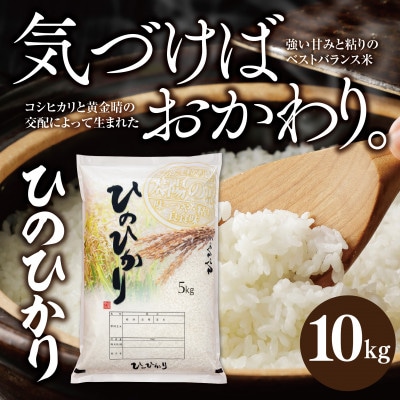 兵庫県産【ヒノヒカリ】令和7年産・ 白米 10kg (10kg×1袋)
