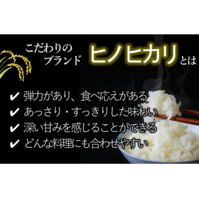 兵庫県産　令和6年産 【ヒノヒカリ 白米10kg】(10kg×1袋)