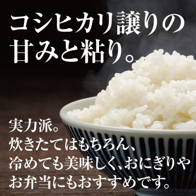 兵庫県産【ヒノヒカリ】令和7年産・ 白米 10kg (10kg×1袋)