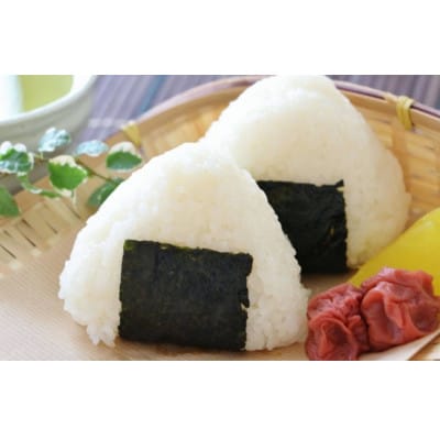 兵庫県産のお米　令和6年産・きぬむすめ　白米10kg(10kg×1袋)