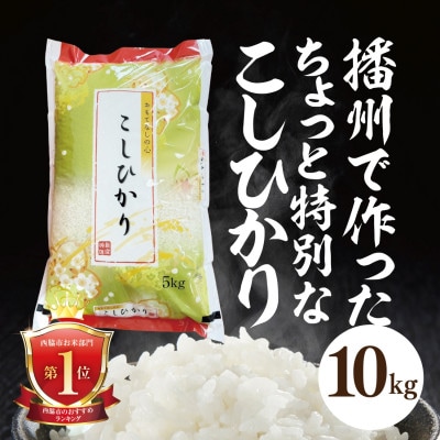 兵庫県産【コシヒカリ】令和7年産・ 白米　10kg (10kg×1袋) | ふるさと納税のお礼品