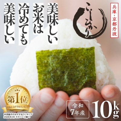 兵庫県産【コシヒカリ】令和7年産・ 白米　10kg (10kg×1袋)