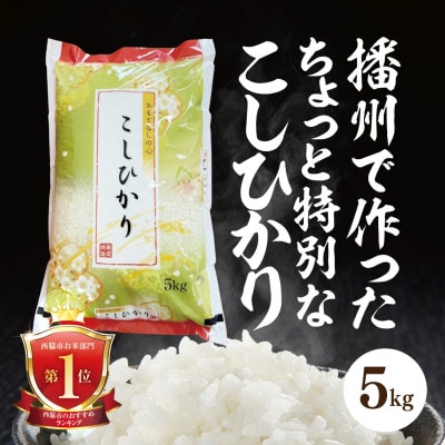 兵庫県産【コシヒカリ】令和7年産・白米 5kg (5kg×1袋)