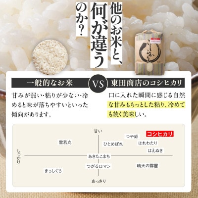 兵庫県産【コシヒカリ】令和7年産・白米 5kg (5kg×1袋)