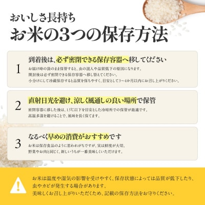 兵庫県産【コシヒカリ】令和7年産・白米 5kg (5kg×1袋)