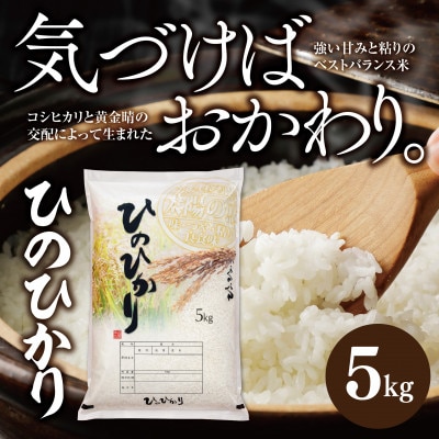 兵庫県産【ヒノヒカリ】令和7年産・白米 5kg (5kg×1袋)