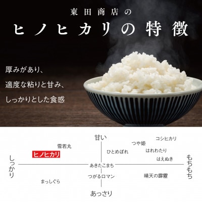 兵庫県産【ヒノヒカリ】令和7年産・白米 5kg (5kg×1袋)