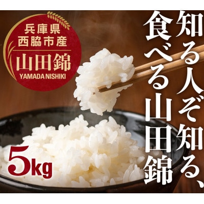 兵庫県産【山田錦】令和7年産・ 白米 5kg (5kg×1袋)