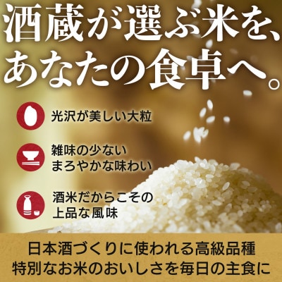 兵庫県産【山田錦】令和7年産・ 白米 5kg (5kg×1袋)