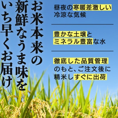 兵庫県産【山田錦】令和7年産・ 白米 5kg (5kg×1袋)