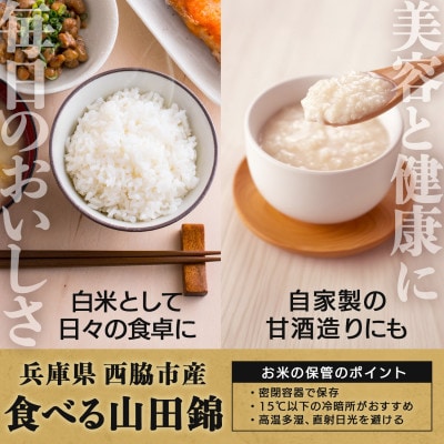 兵庫県産【山田錦】令和7年産・ 白米 5kg (5kg×1袋)