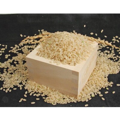 【毎月定期便】兵庫県産 コシヒカリ(玄米) 10kg全3回
