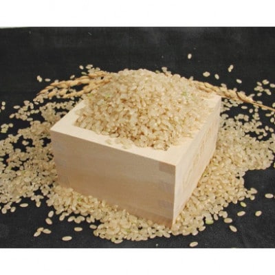 【毎月定期便】兵庫県産 コシヒカリ(玄米) 20kg(10kg×2)全6回