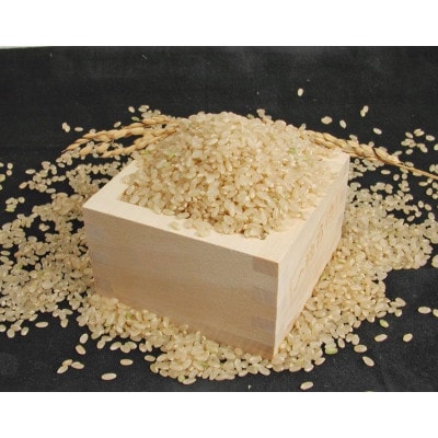 【毎月定期便】兵庫県産 コシヒカリ(玄米) 30kg(10kg×3)全6回